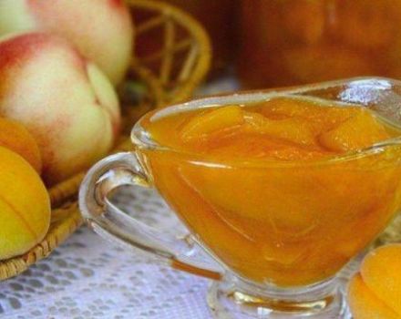 Comment faire cuire ensemble la confiture d'abricots et de pêches pour l'hiver