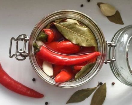 5 best recipes for making pickled peppers in Armenian for the winter