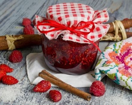 Una receta sencilla de mermelada de fresa cinco minutos para el invierno.