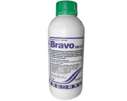 Instructions for the use of fungicide Bravo, composition and form of release of the product