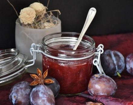 A step-by-step recipe for plum jam with cinnamon and lemon for the winter