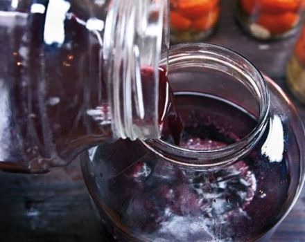 The best recipes for making wine from sour grapes at home