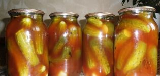 Basic recipes for cooking awesome cucumbers in tomato sauce for the winter