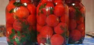 6 recetas paso a paso para encurtir tomates con ajo dentro de un tomate para el invierno