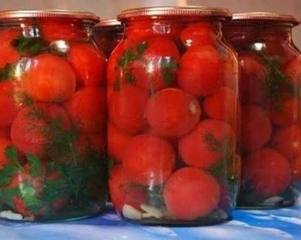 6 resipi langkah demi langkah untuk memetik tomato dengan bawang putih di dalam tomato untuk musim sejuk