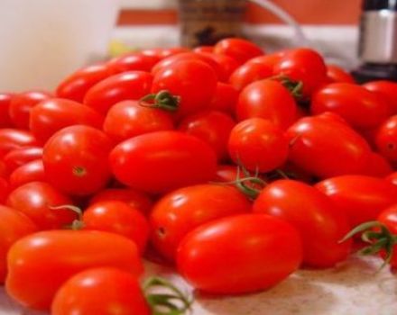 Characteristics and description of tomato variety New from Transnistria