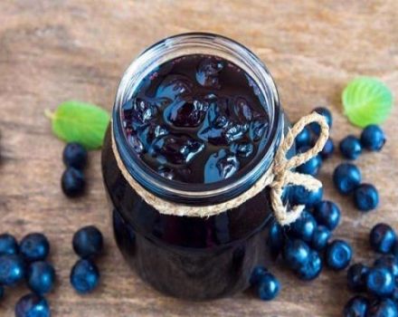 Une recette simple étape par étape pour la confiture de myrtilles 