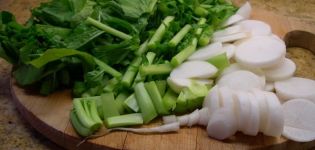 Propiedades y contraindicaciones útiles del rábano daikon para el cuerpo humano.