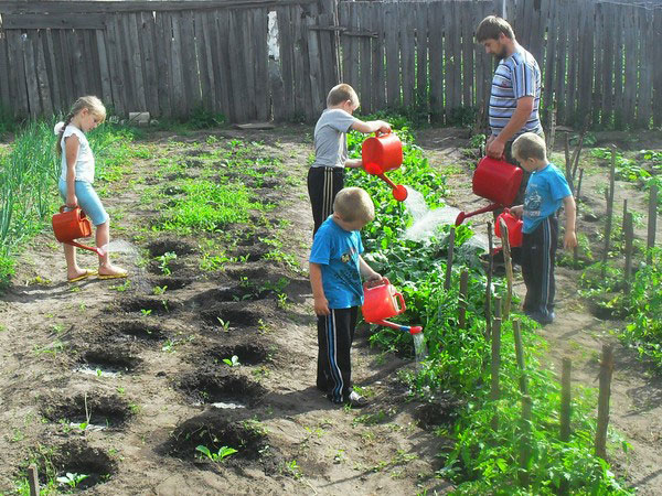 watering the garden