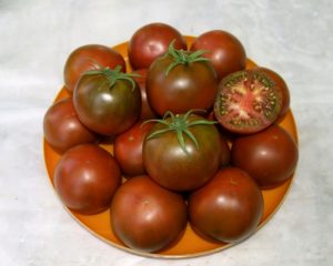 Characteristics and description of the chocolate tomato variety, its yield