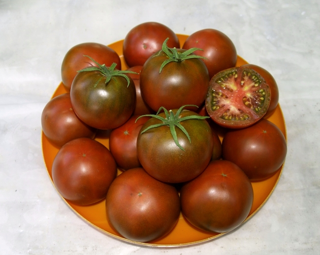 chocolat aux tomates