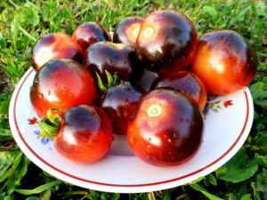 Produktiviti, ciri dan penerangan mengenai varieti tomato blueberry