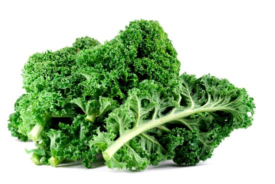 appearance of kale