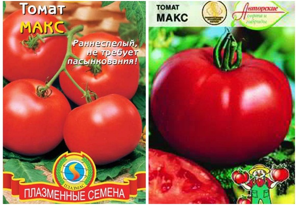 graines de tomates max