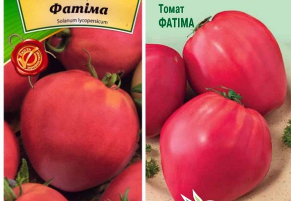 fatima biji tomato