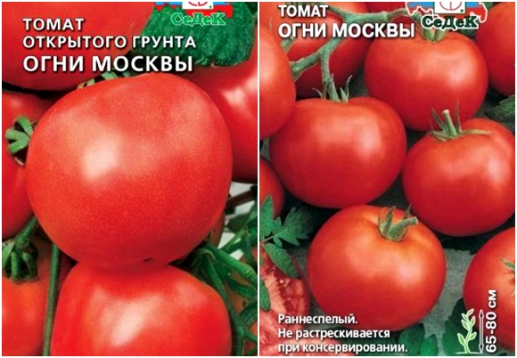 tomate moscow lights graines