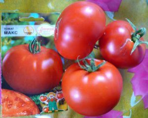 Ciri dan keterangan mengenai varieti tomato Max, hasilnya