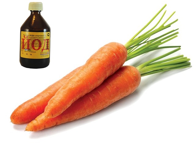 iodine for carrots