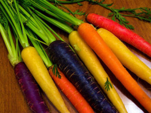 Description, characteristics and features of growing the best varieties of carrots