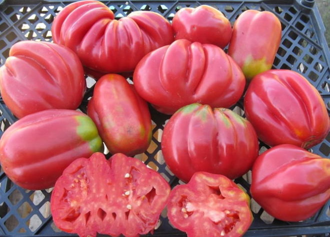 American ribbed tomato inside