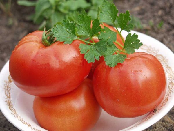 Tomatoes Polbig F1 in a plate