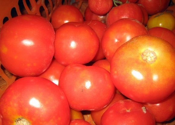 tomate léopard des neiges