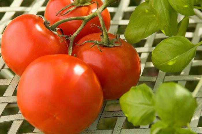 tomate Maryina Roshcha en la mesa