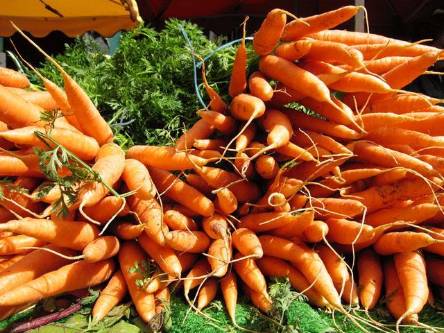 carottes dans le jardin