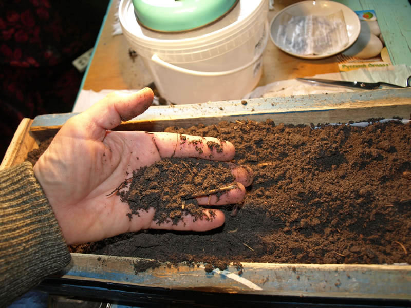 a man picks the ground for seedlings