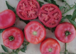 Características y descripción de la variedad de tomate pink bush f1, su rendimiento.