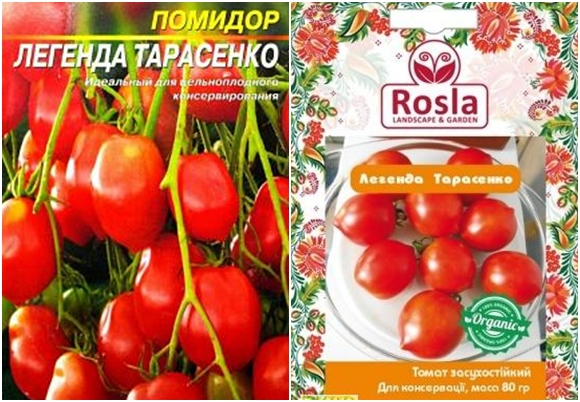 Légende des graines de tomate de tarasenko