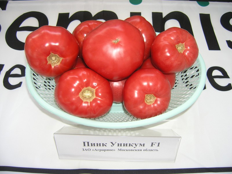 apariencia de tomate rosa único