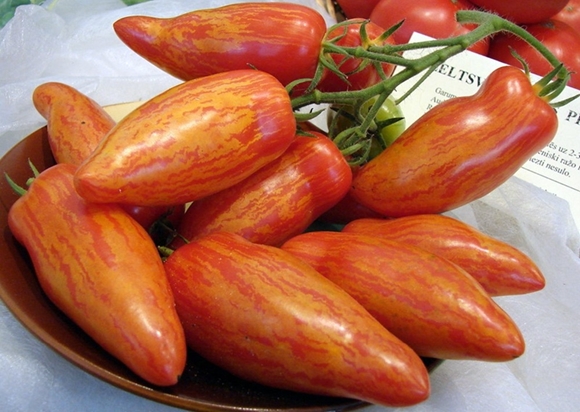 tomate rayée au poivre