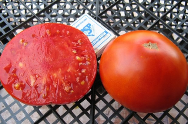 tomato dan pengasap