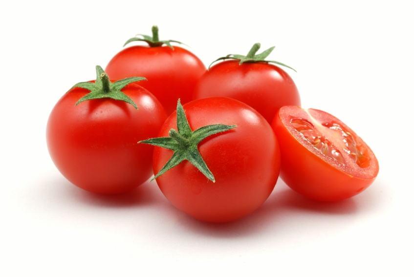 Early ripening Leningrad tomato