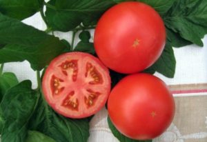 Características y descripción de la variedad de tomate Anyuta, su rendimiento.