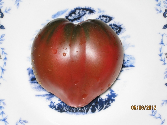 tomate alsou sur la table