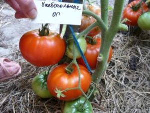 Caractéristiques et description de la variété de tomate Khlebosolny, son rendement