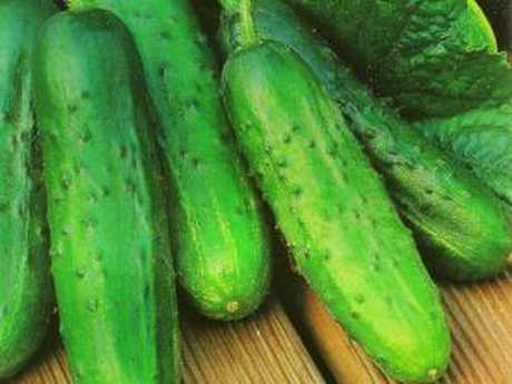 cucumber emel