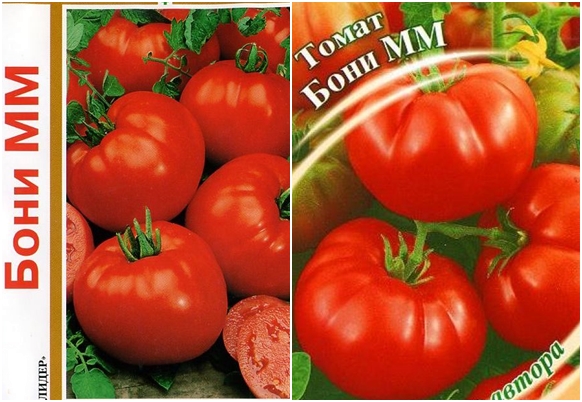 semillas de tomate boni mm