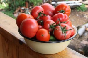 Caractéristiques et description de la variété de tomate Azhur f1, son rendement