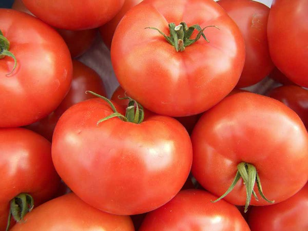 engrais pour tomates