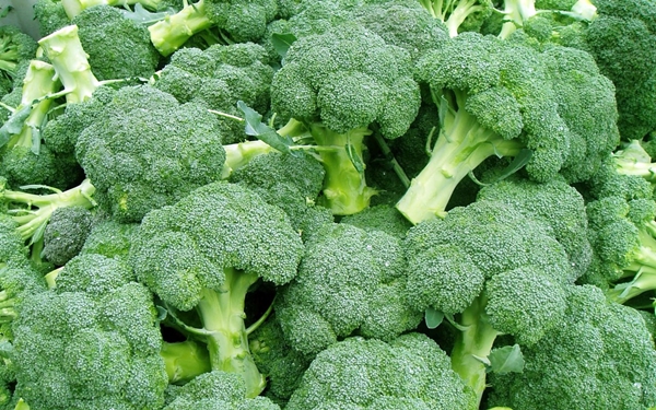 brocoli