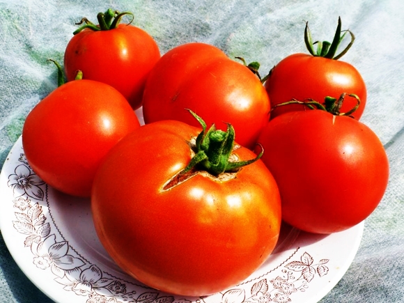 Tomato Handbag F1