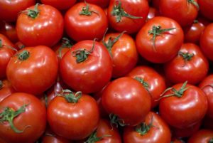 Ciri dan keterangan mengenai varieti tomato Torbay, hasilnya