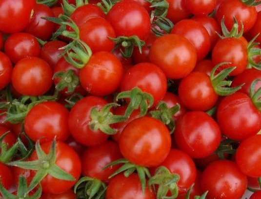 tomate cerise