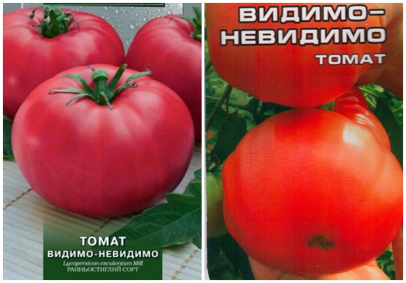 graines de tomates apparemment invisibles