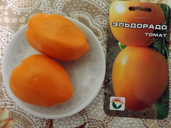 Tomato Eldorado di atas meja