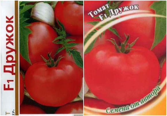 Tomato Druzhok F1