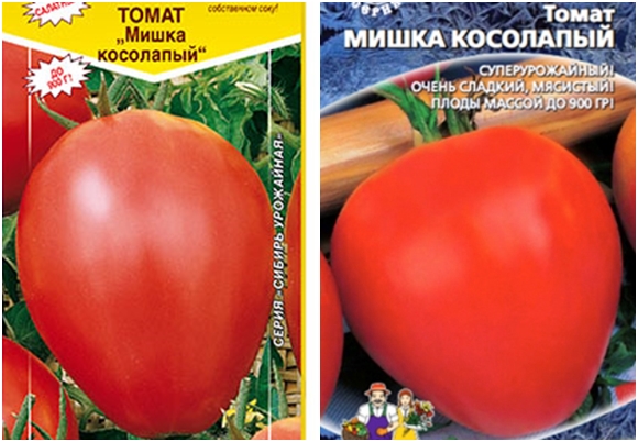 tomato seeds teddy bear